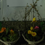 sezona10